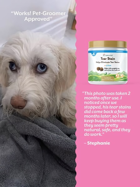 A split-screen testimonial creative showcasing a dog's before-after results alongside a user quote for a tear stain supplement.